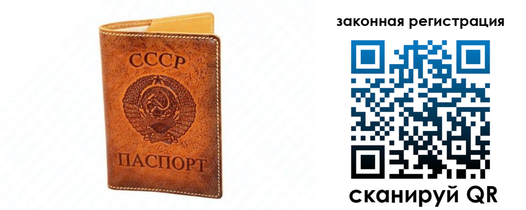 временная регистрация госуслуги в Петропавловске-Камчатском